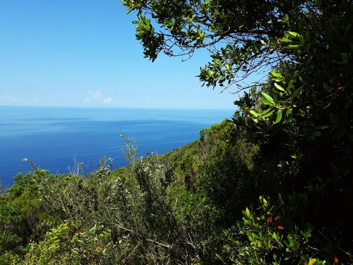 Appartamento Claudi A San Vincenzo Exterior foto